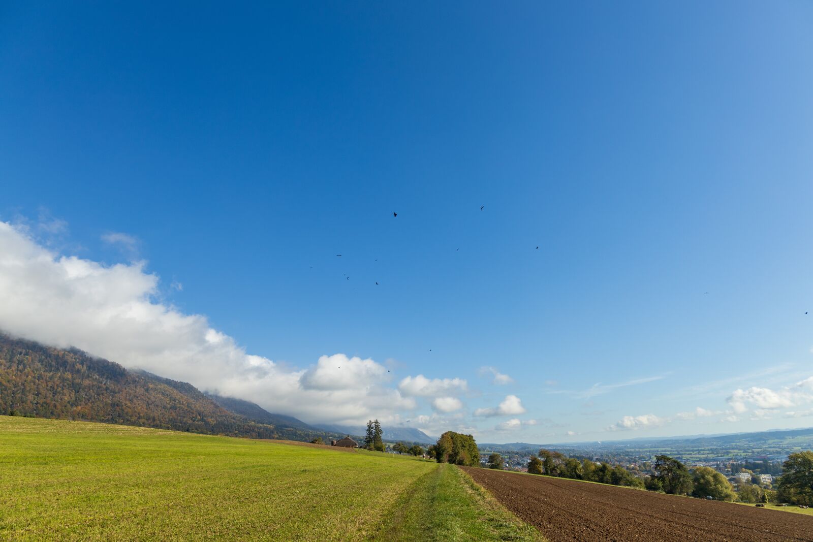 Canon EOS R sample photo. Away, arable, landscape photography
