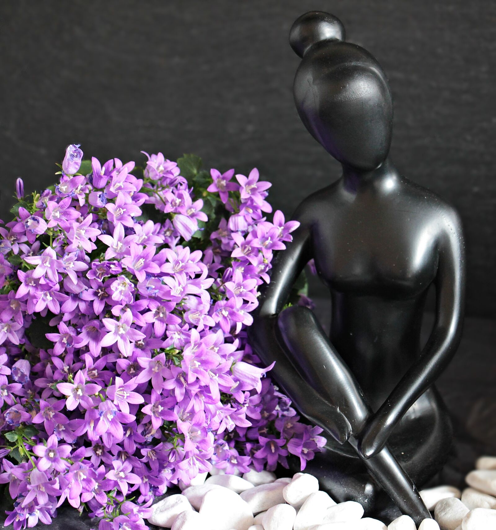 Canon EOS 550D (EOS Rebel T2i / EOS Kiss X4) sample photo. Woman, sculpture, figure photography