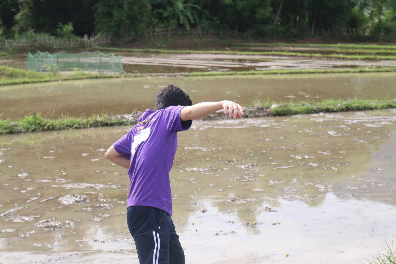 Canon EOS 70D sample photo