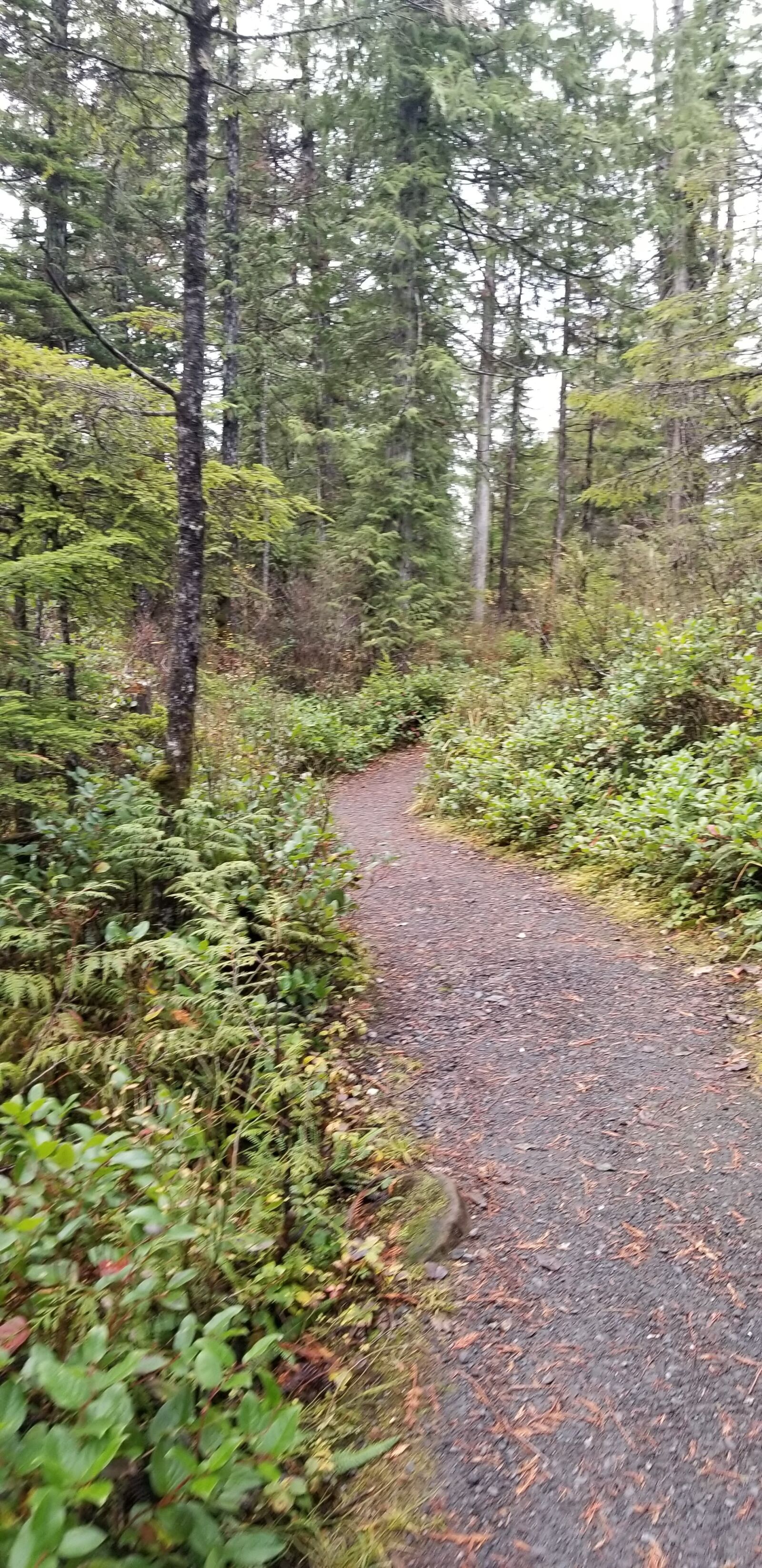 Samsung Galaxy S8 sample photo. Peaceful path, forest path photography