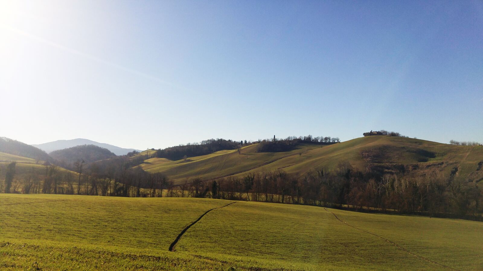 LG G4 sample photo. Nature, fields, landscape photography