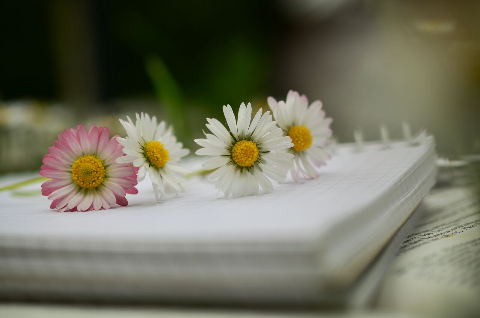 Nikon D5100 sample photo. Notebook, book, book pages photography