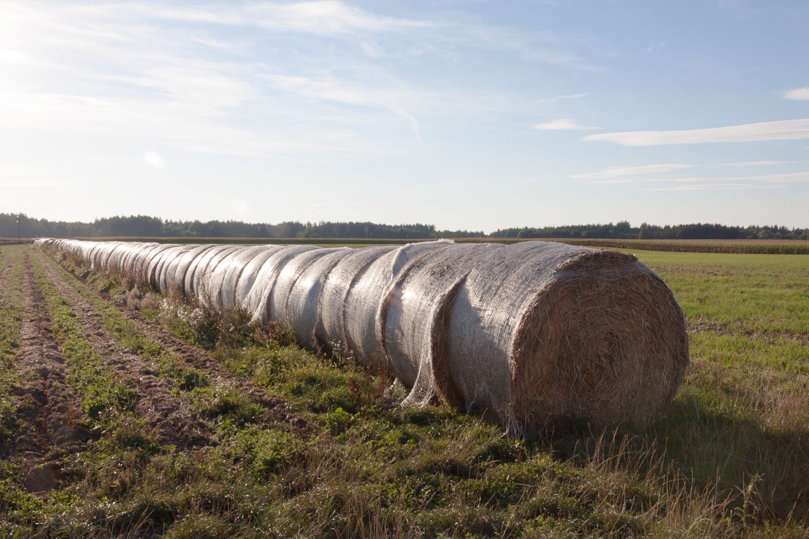Canon EF-S 17-85mm F4-5.6 IS USM sample photo. Straw, bale, rolled photography