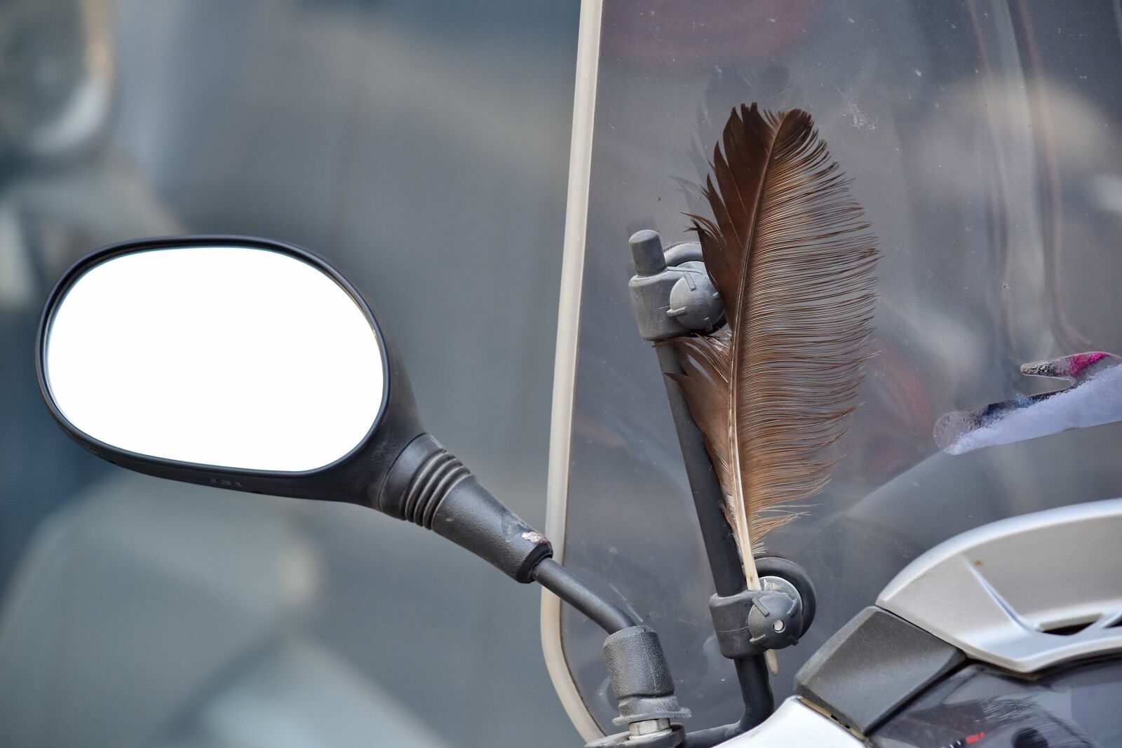 Nikon D5500 sample photo. Decoration, feather, mirror, motorbike photography