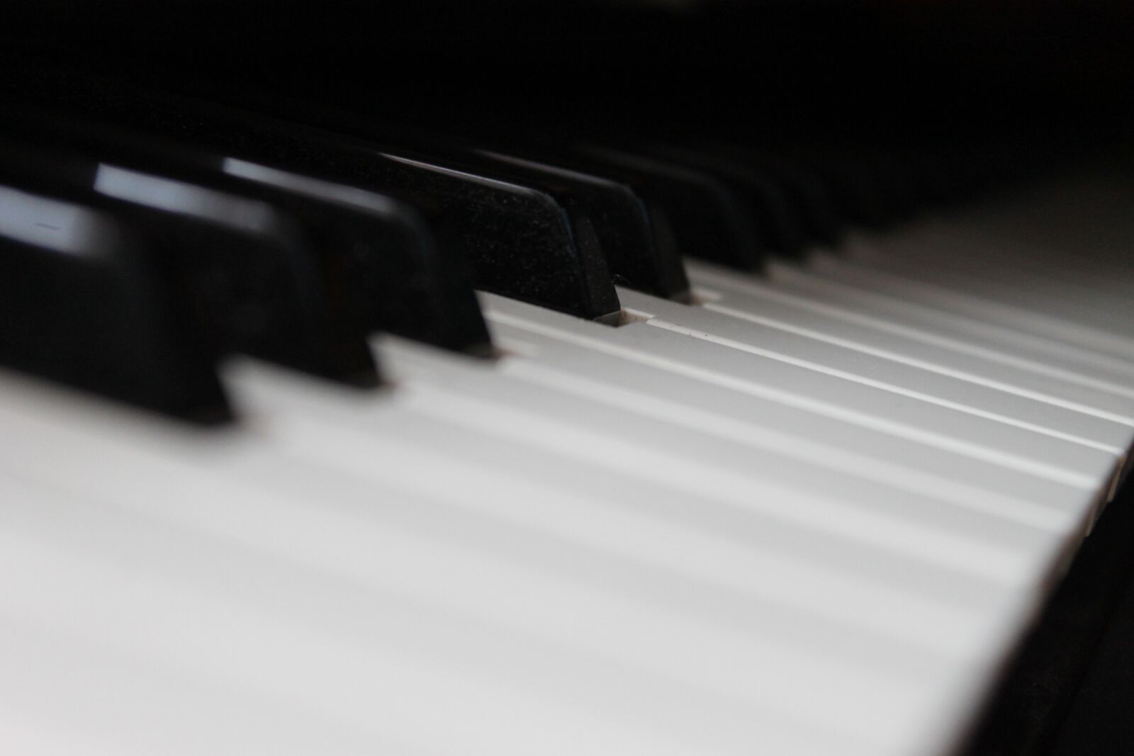 Canon EOS 1100D (EOS Rebel T3 / EOS Kiss X50) sample photo. Music, piano, instrument photography