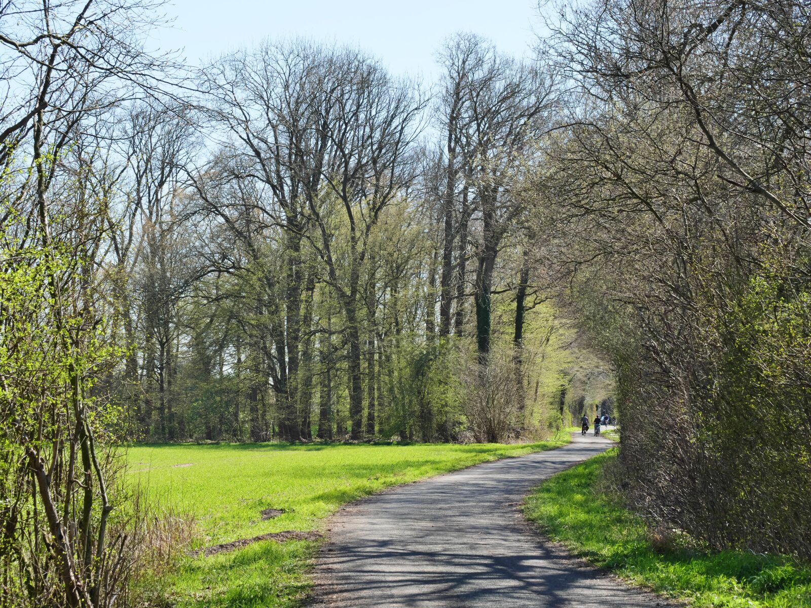 Panasonic Lumix DC-G9 sample photo. Spring, bike ride, more photography
