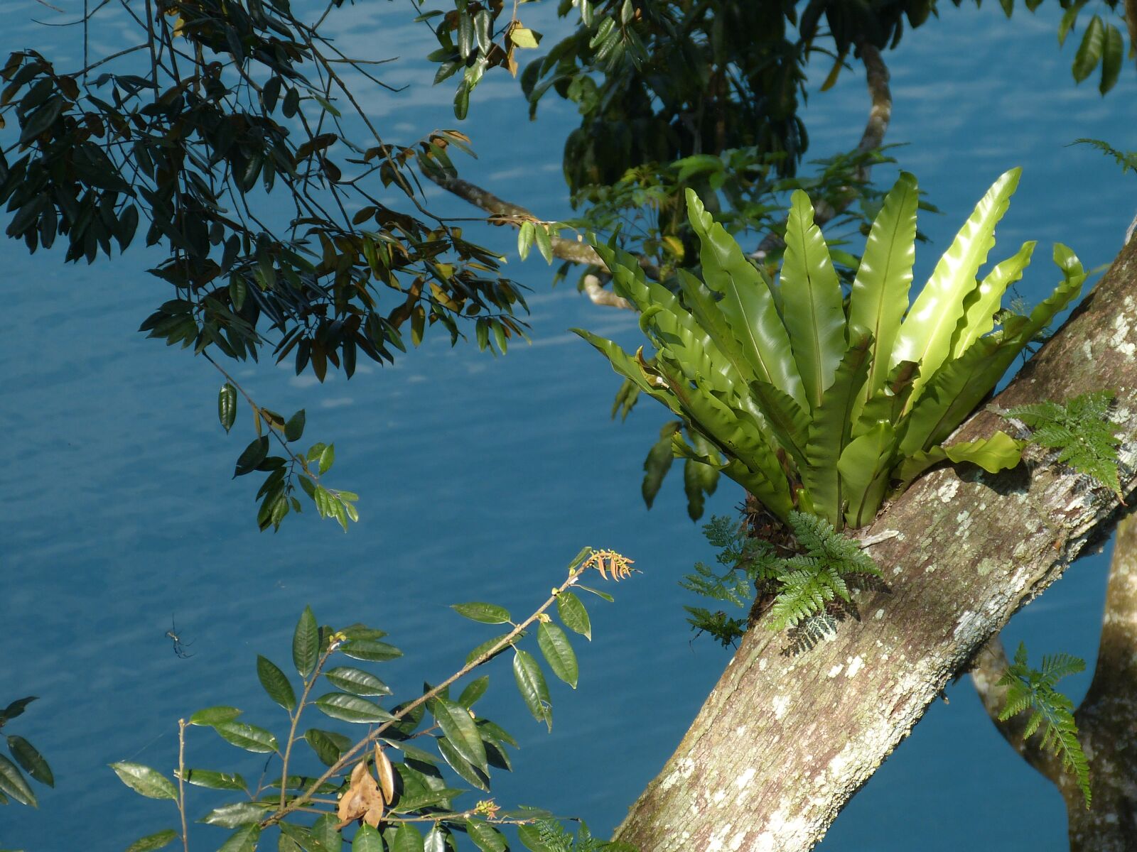 Panasonic Lumix DMC-FZ150 sample photo. Landscape nature, taiwan, asia photography