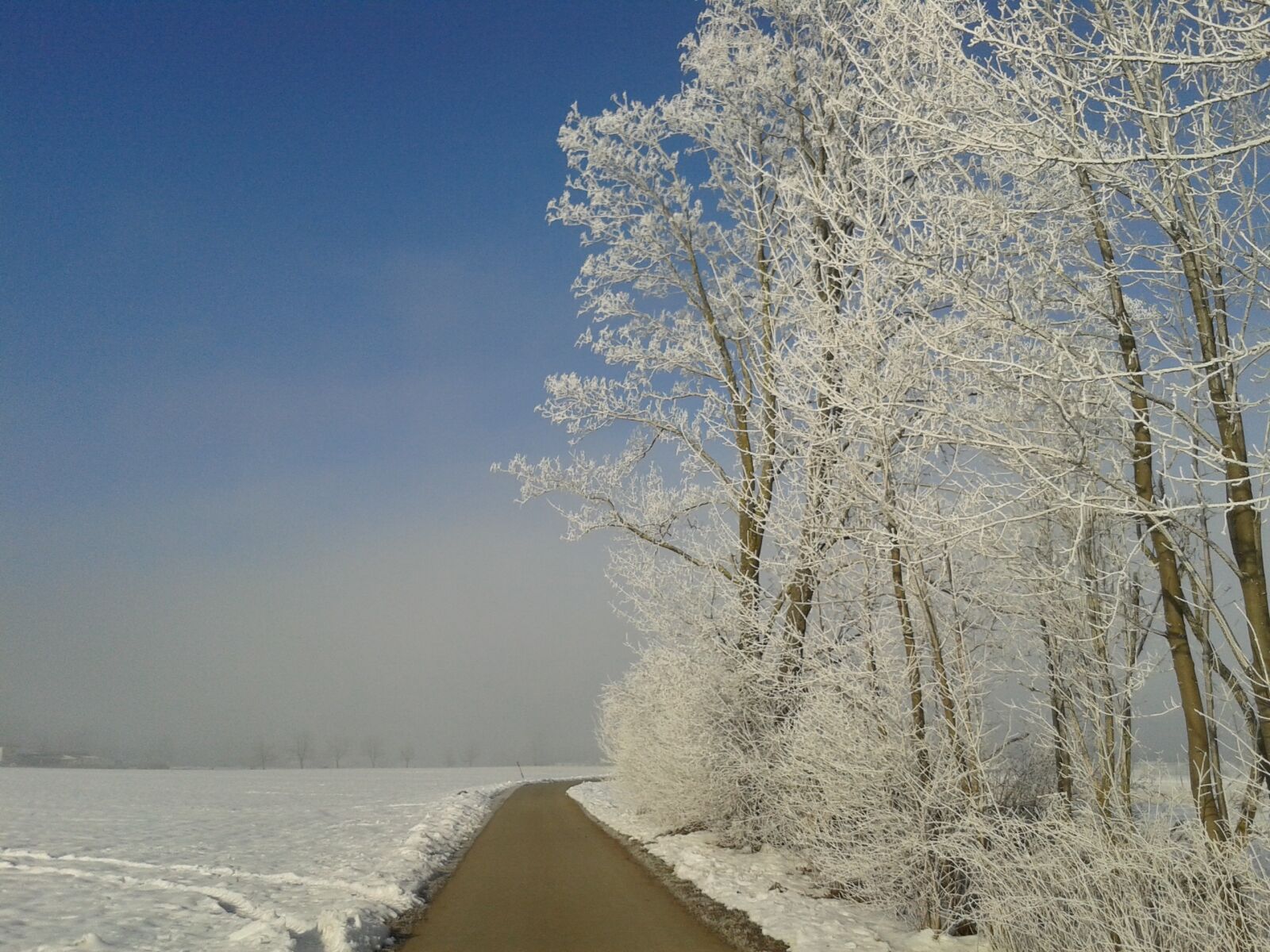 Samsung Galaxy S3 Mini sample photo. Winter, sun, snow photography