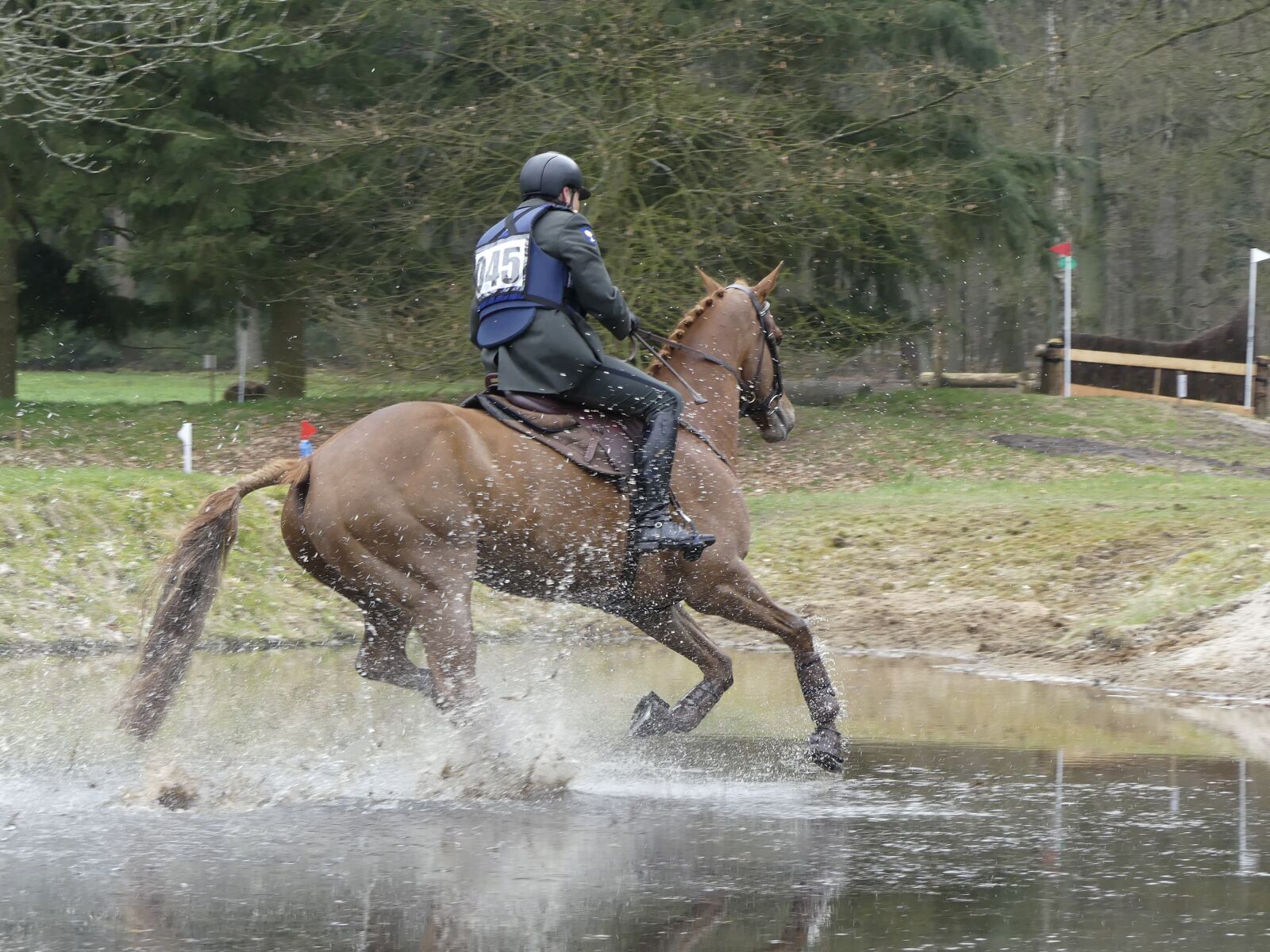 Panasonic Lumix DMC-FZ300 sample photo. Horse, rider, fox photography