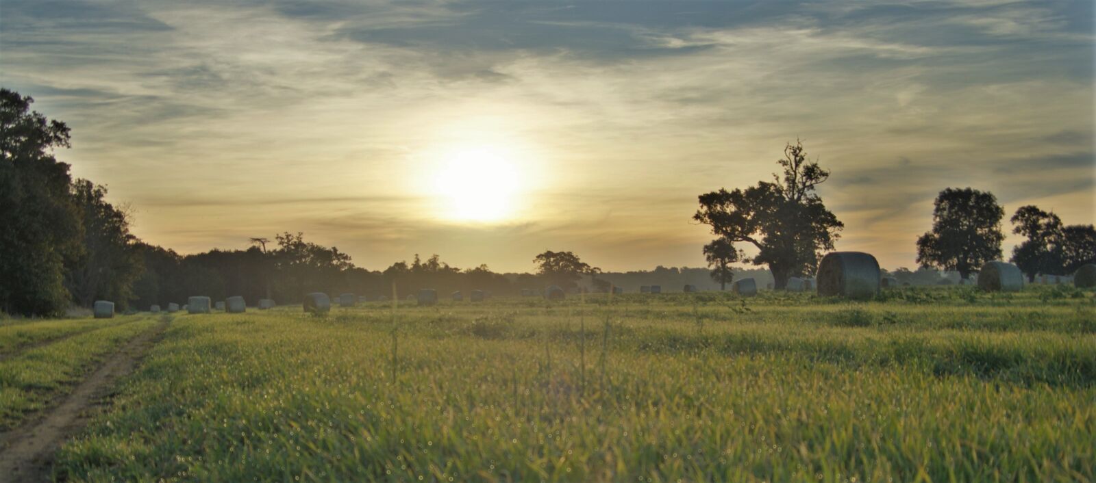 Pentax K-x sample photo. Autumn, harvest, field photography