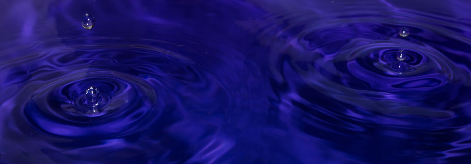 Nikon D3200 sample photo. Water, drops, water drop photography