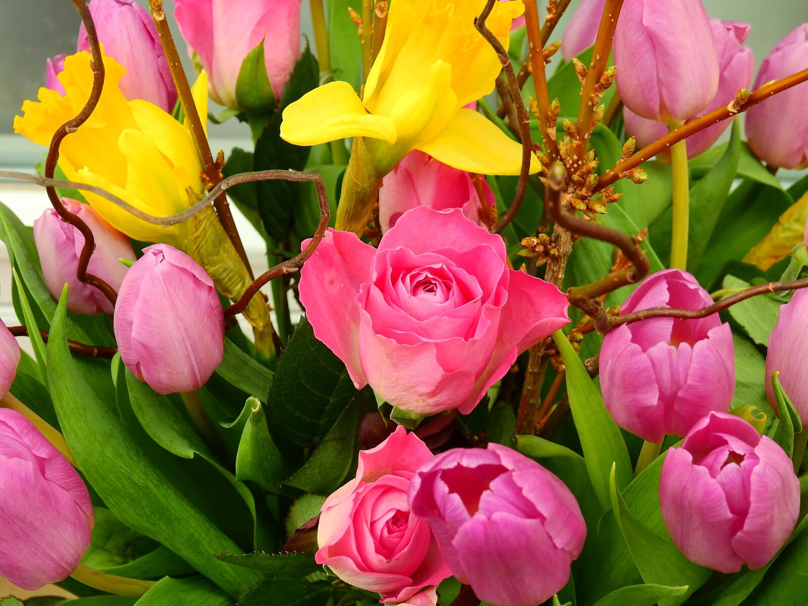 Nikon Coolpix P900 sample photo. Rose, tulips, cloves photography