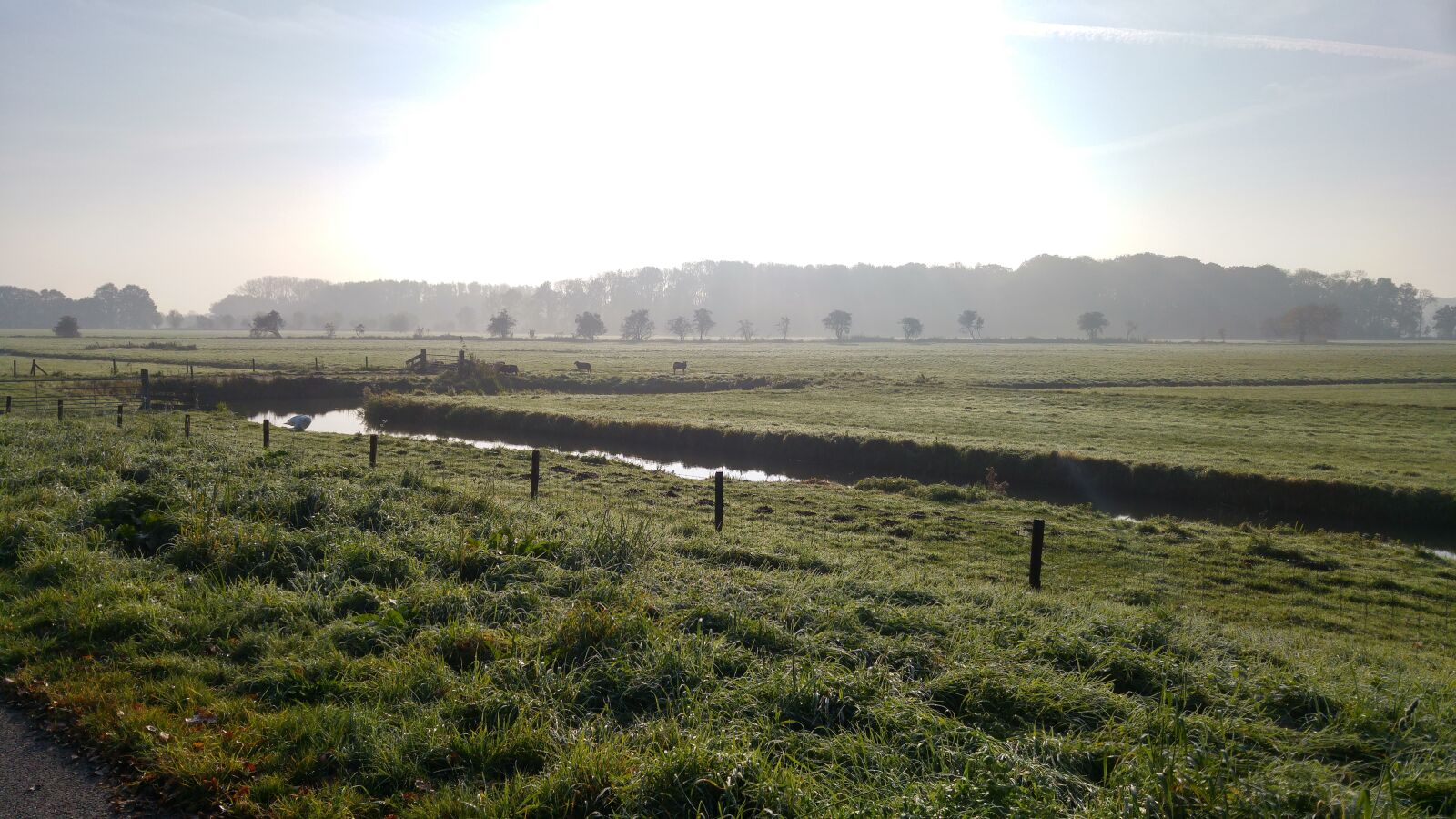 LG G4 sample photo. Utrecht, uithof, landscape photography