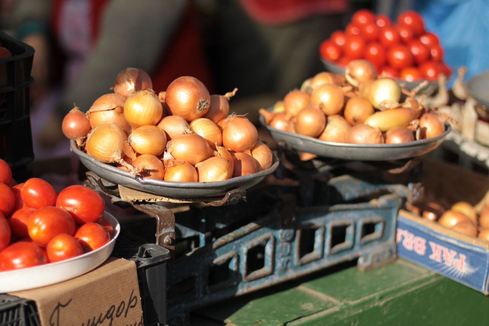Canon EOS 50D sample photo. Market, libra, onion photography