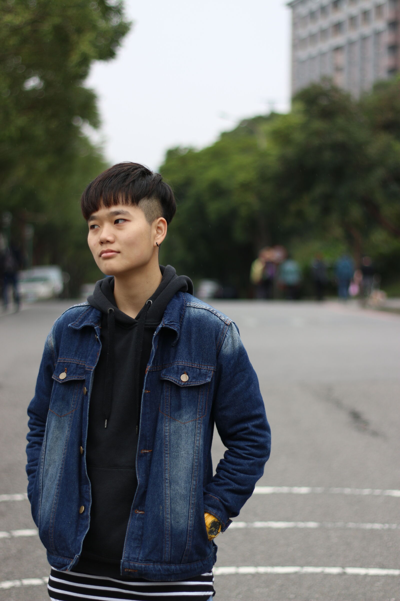 Canon EOS 70D + Canon EF 50mm F1.8 II sample photo