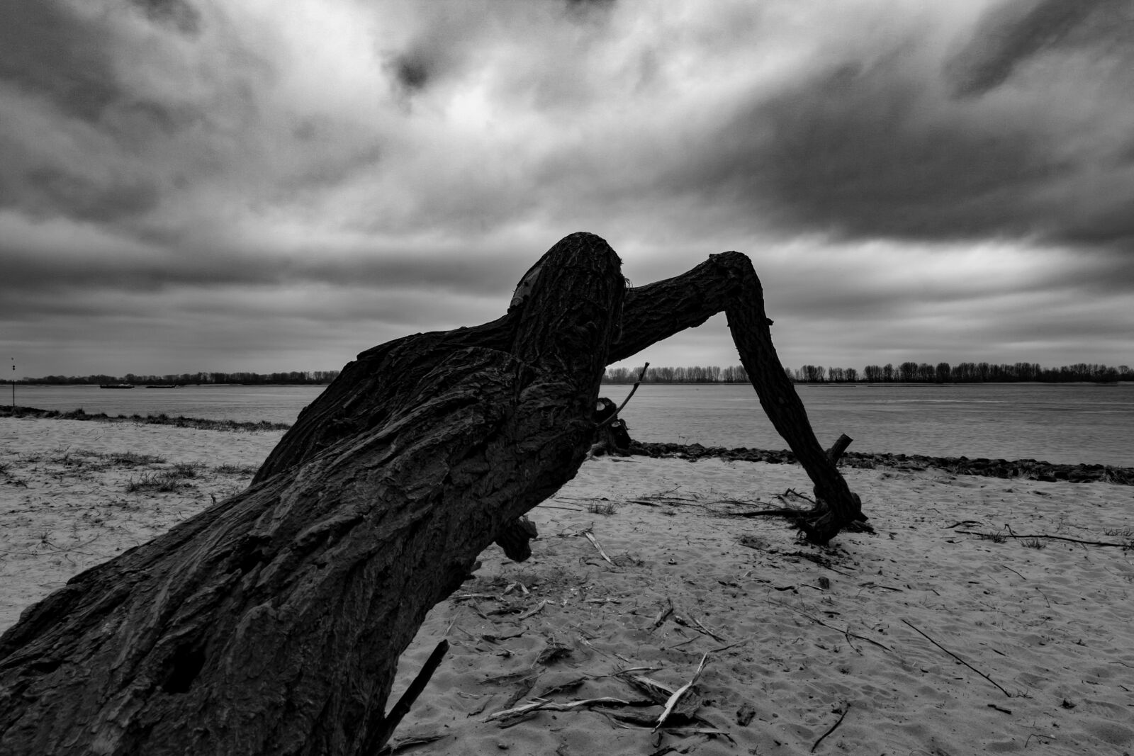 Canon EOS-1D Mark III sample photo. Waters, beach, sky photography