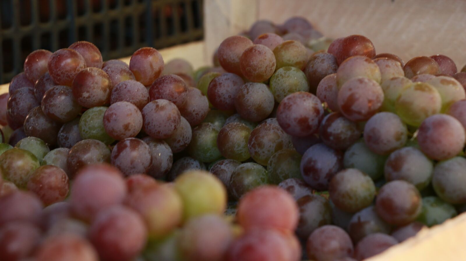 Canon EOS 70D sample photo. Grape, fruit, grapes photography