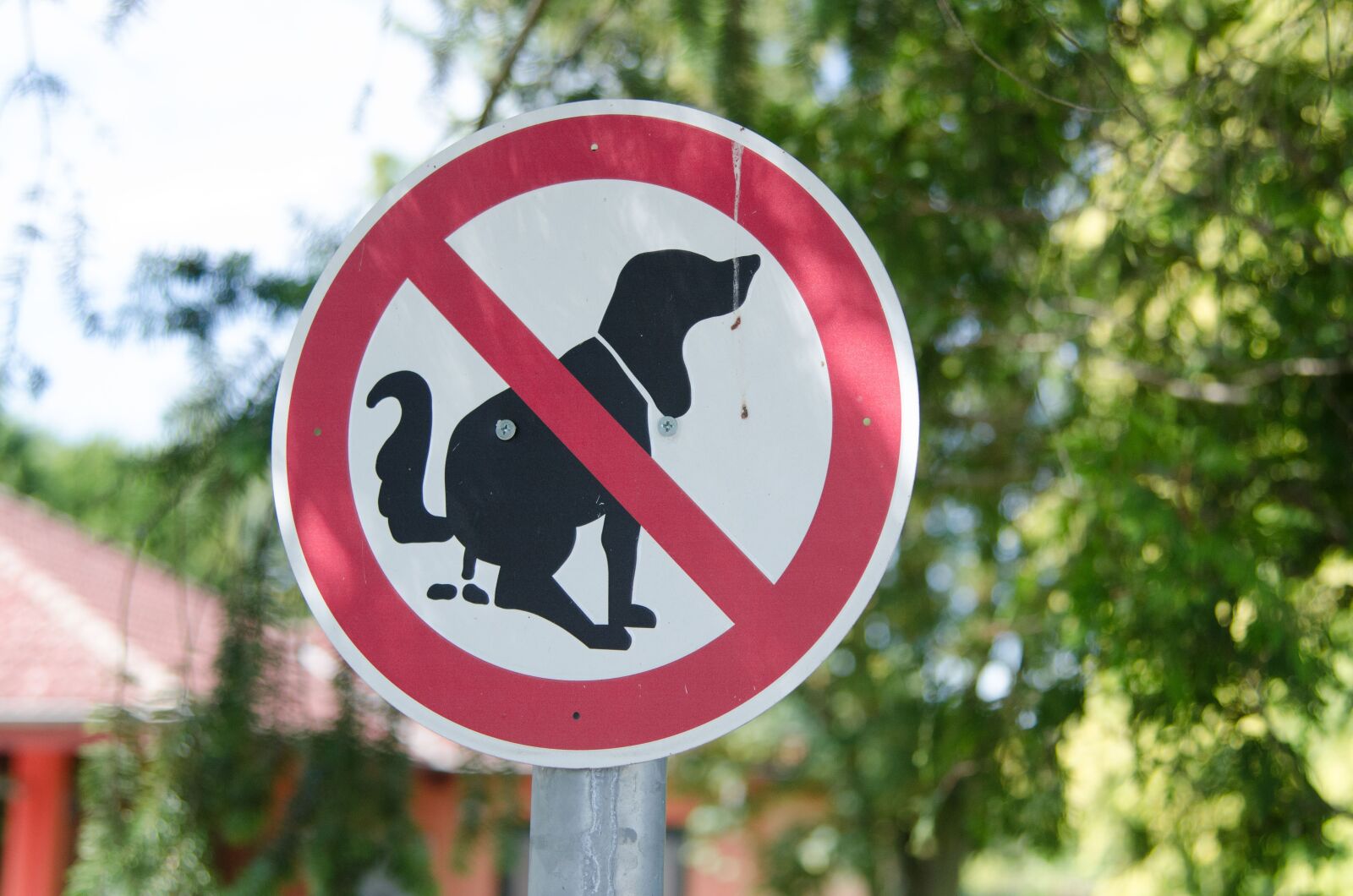 Nikon D7000 sample photo. Dog, ban, sign photography