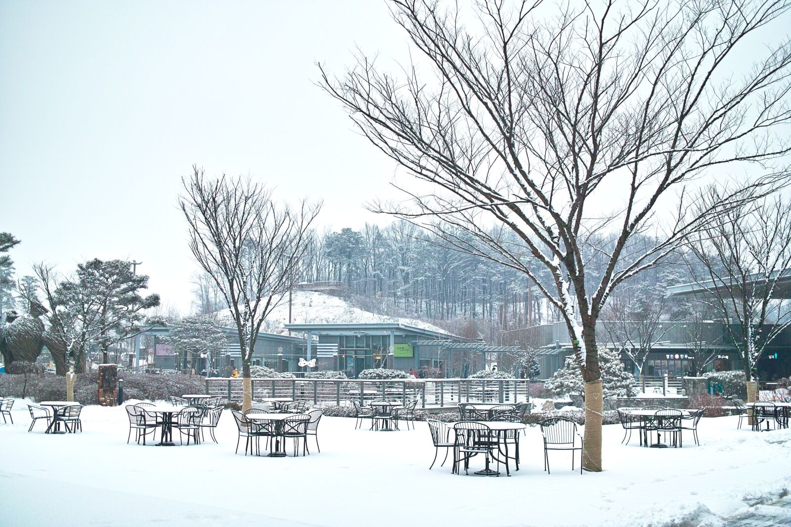 Sigma DP2 sample photo. Rest areas, winter, wood photography