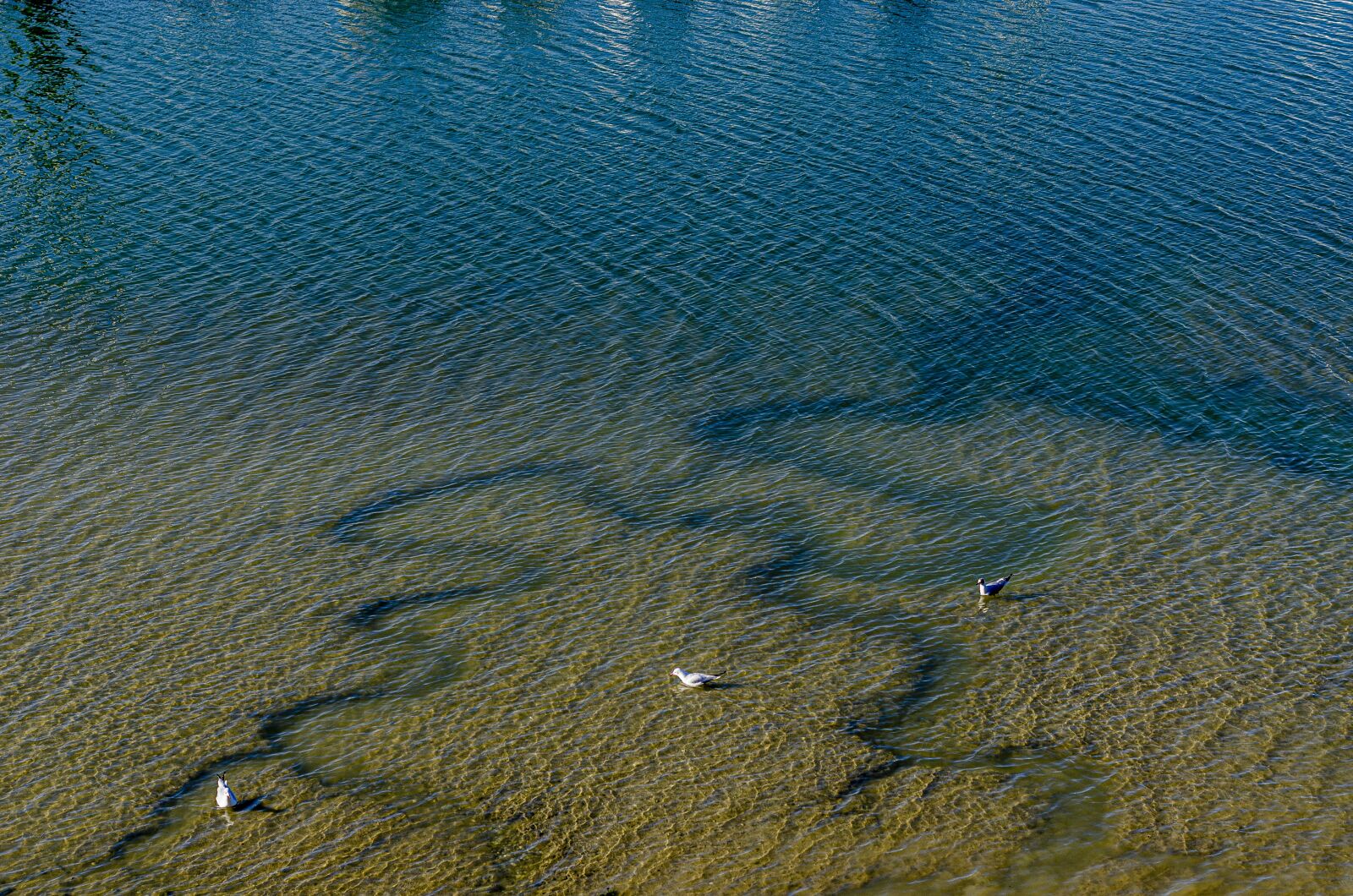 Nikon D7000 sample photo. Sea, tide, low photography