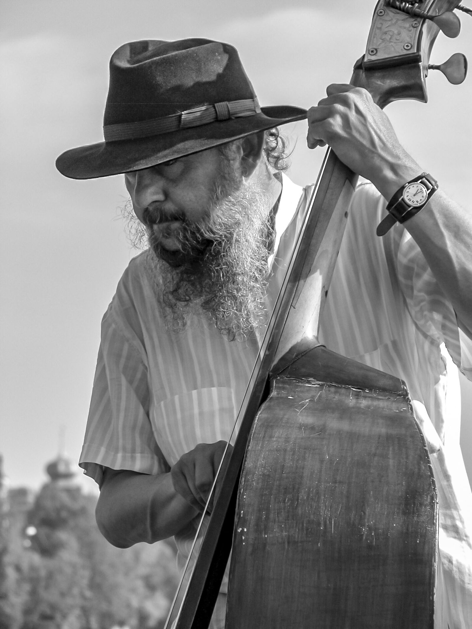 Nikon E5700 sample photo. Jazz, double base, bass photography