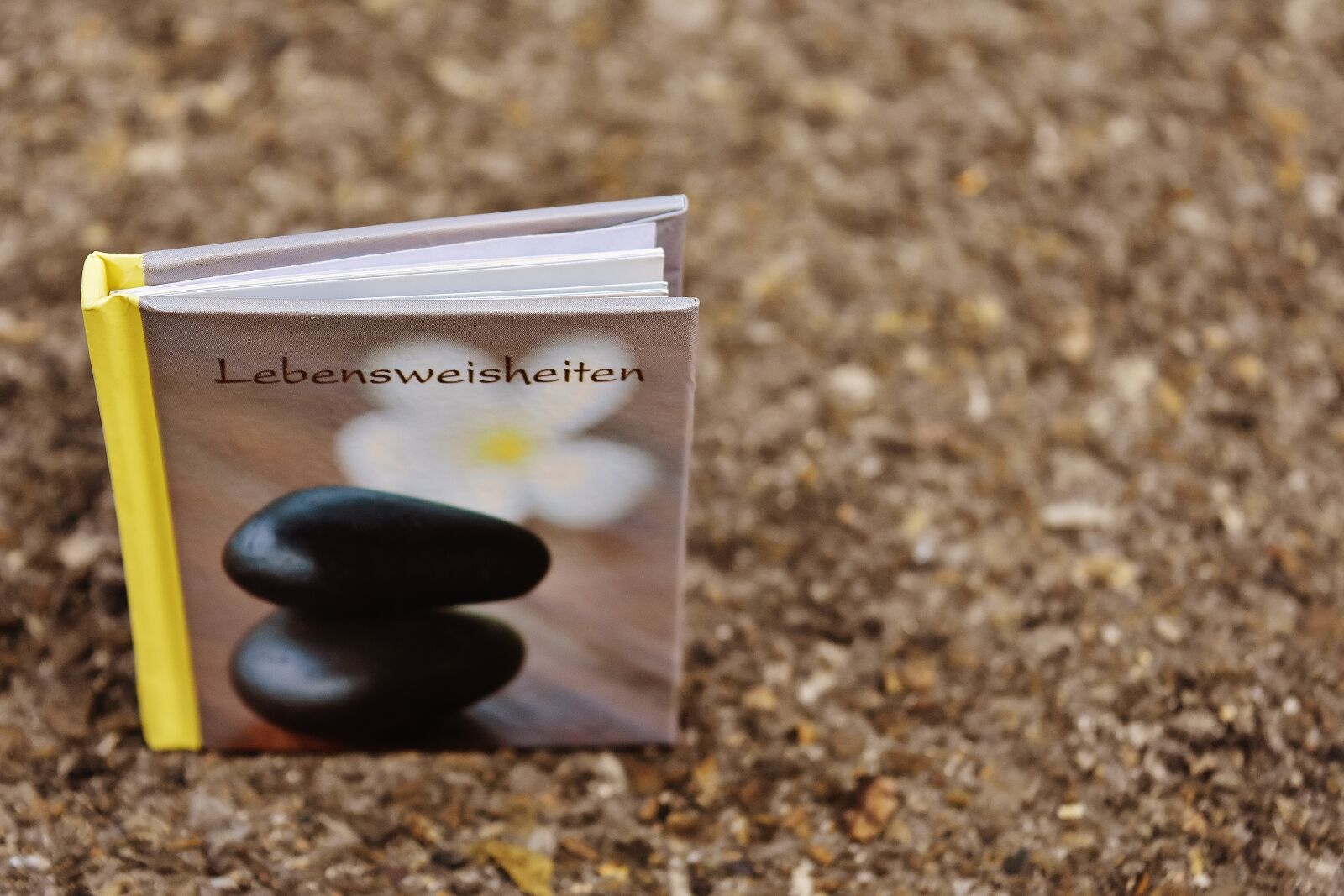 Nikon D7200 sample photo. Book, greeting card, live photography