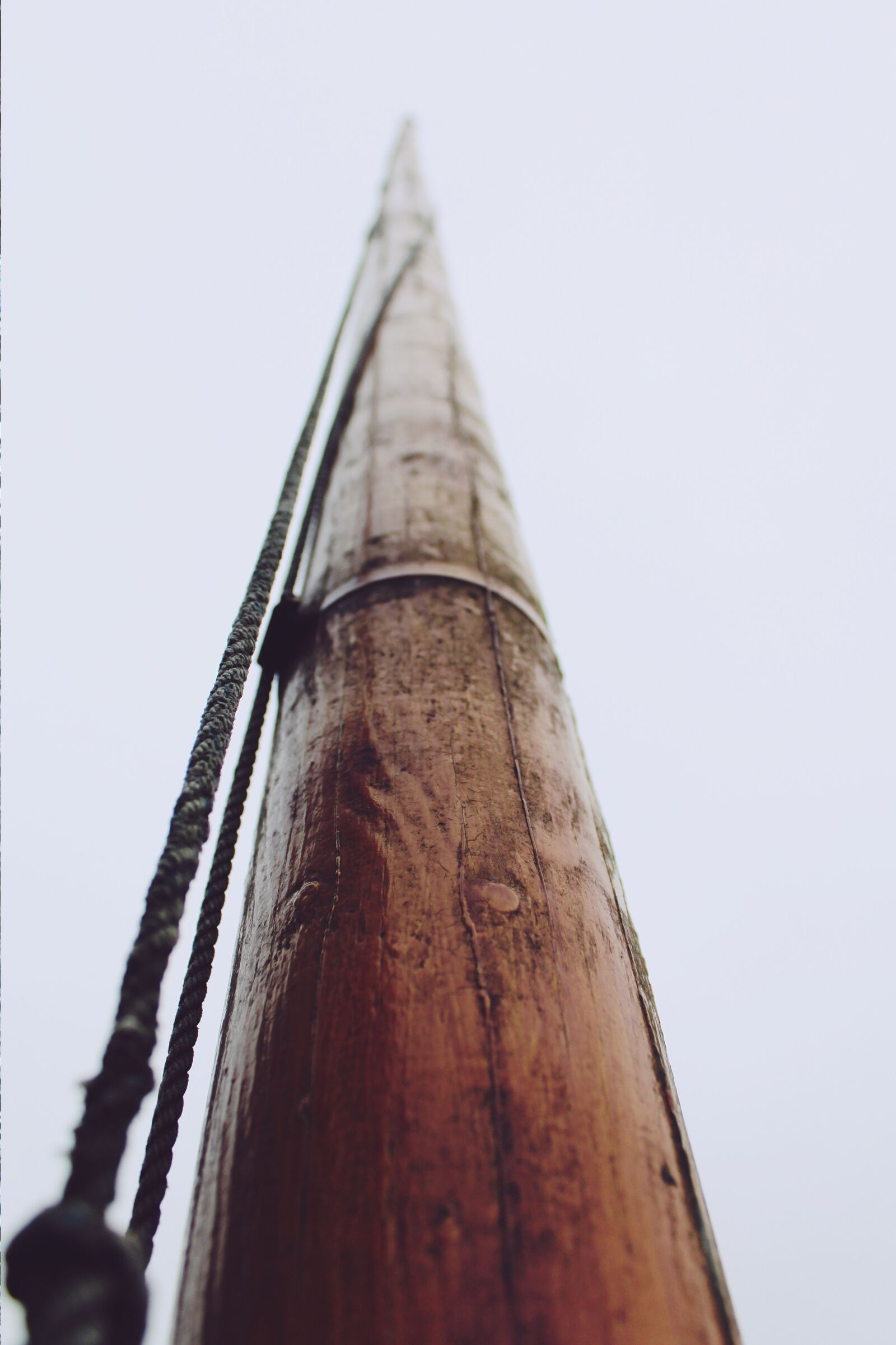 Canon EOS 1200D (EOS Rebel T5 / EOS Kiss X70 / EOS Hi) sample photo. Rope, dew, twisted ropes photography