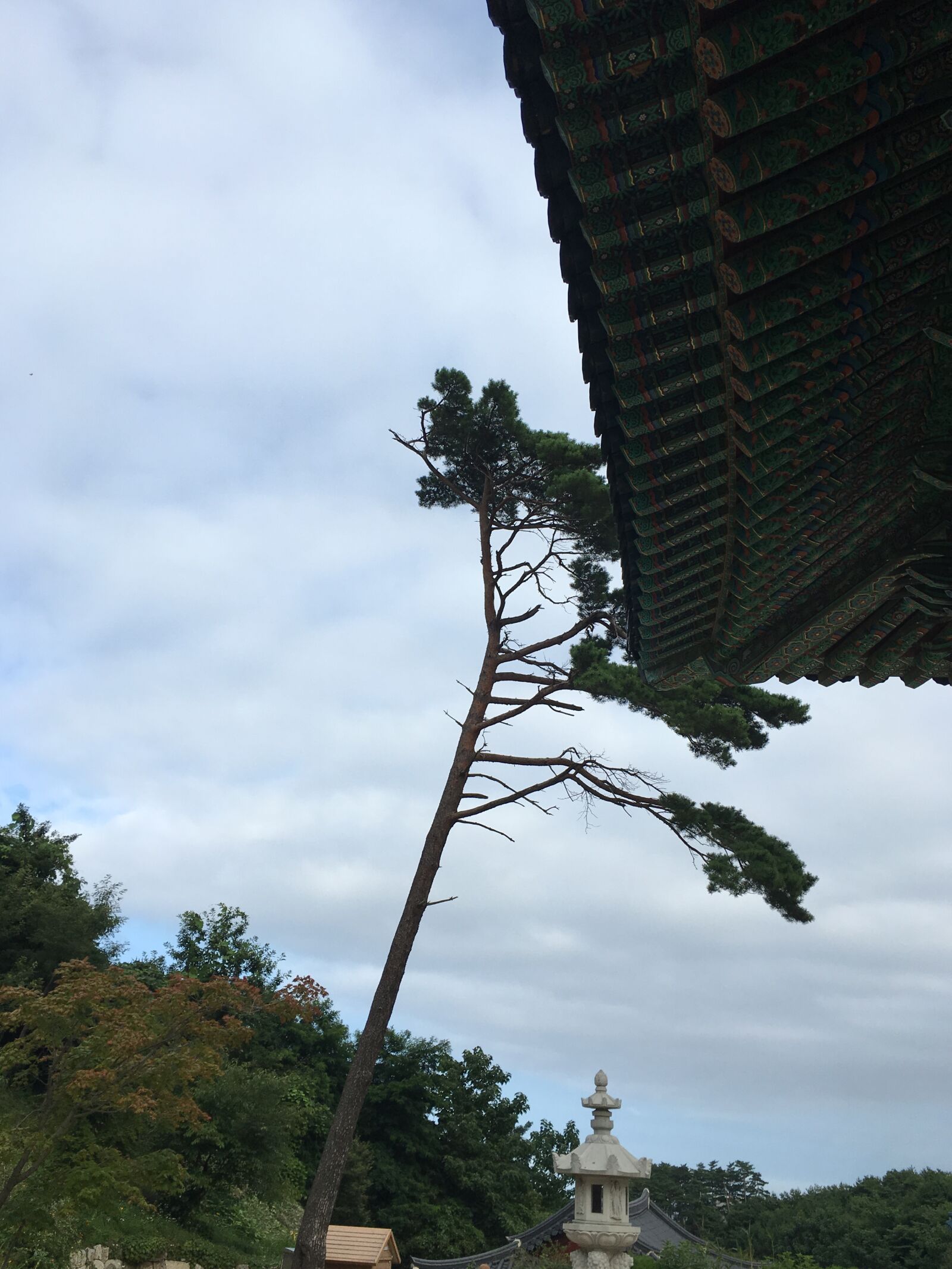 iPhone 6s back camera 4.15mm f/2.2 sample photo. Gangneung, blue sky, break photography