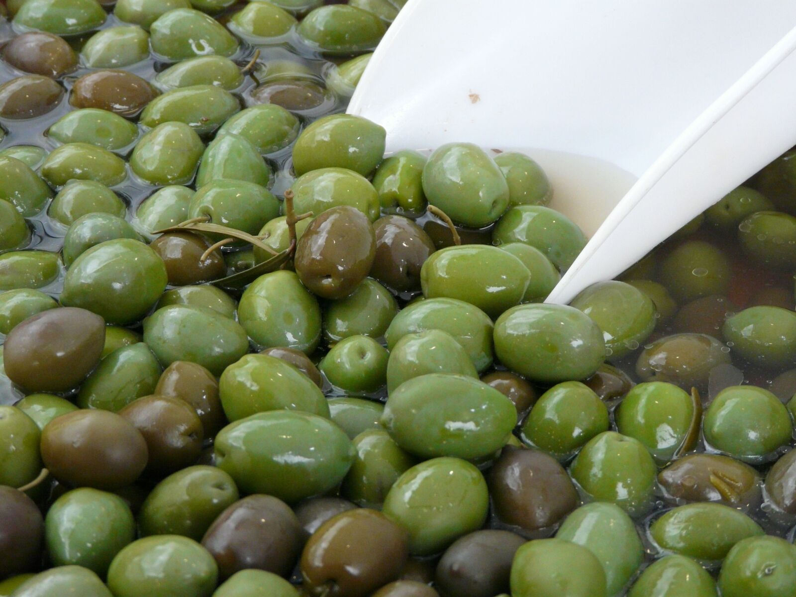 Panasonic DMC-FZ18 sample photo. Olive, green, olives photography