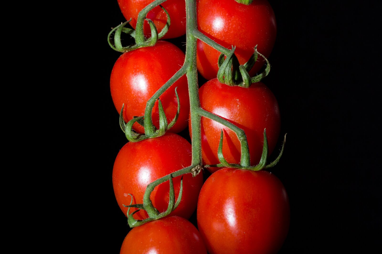 Canon EOS 60D sample photo. Cluster, tomatoes, cherry photography