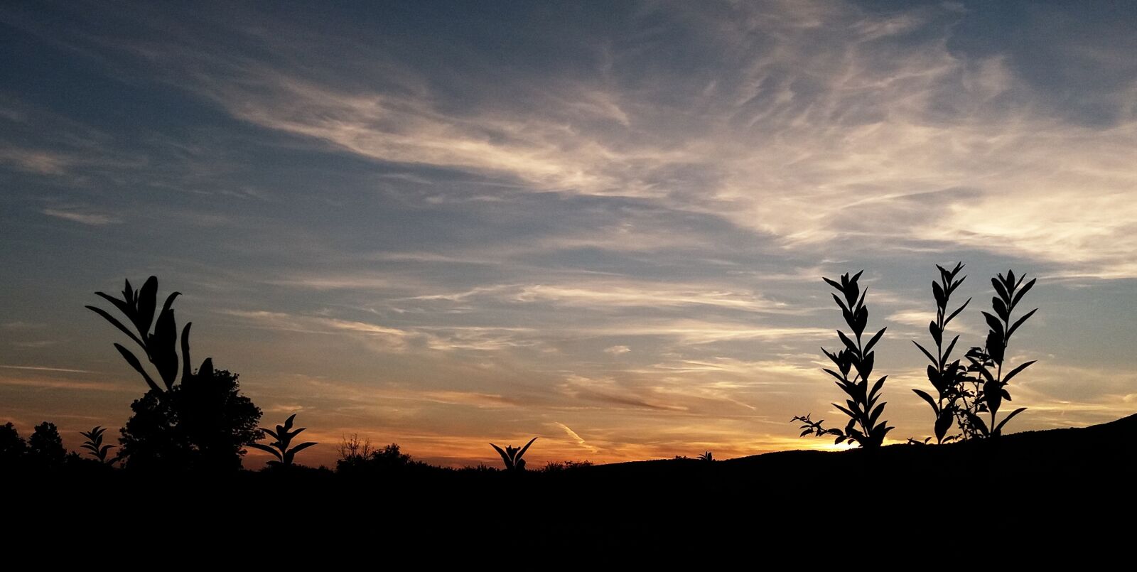 Samsung Galaxy J5 sample photo. Landscape, sunset, dusk photography