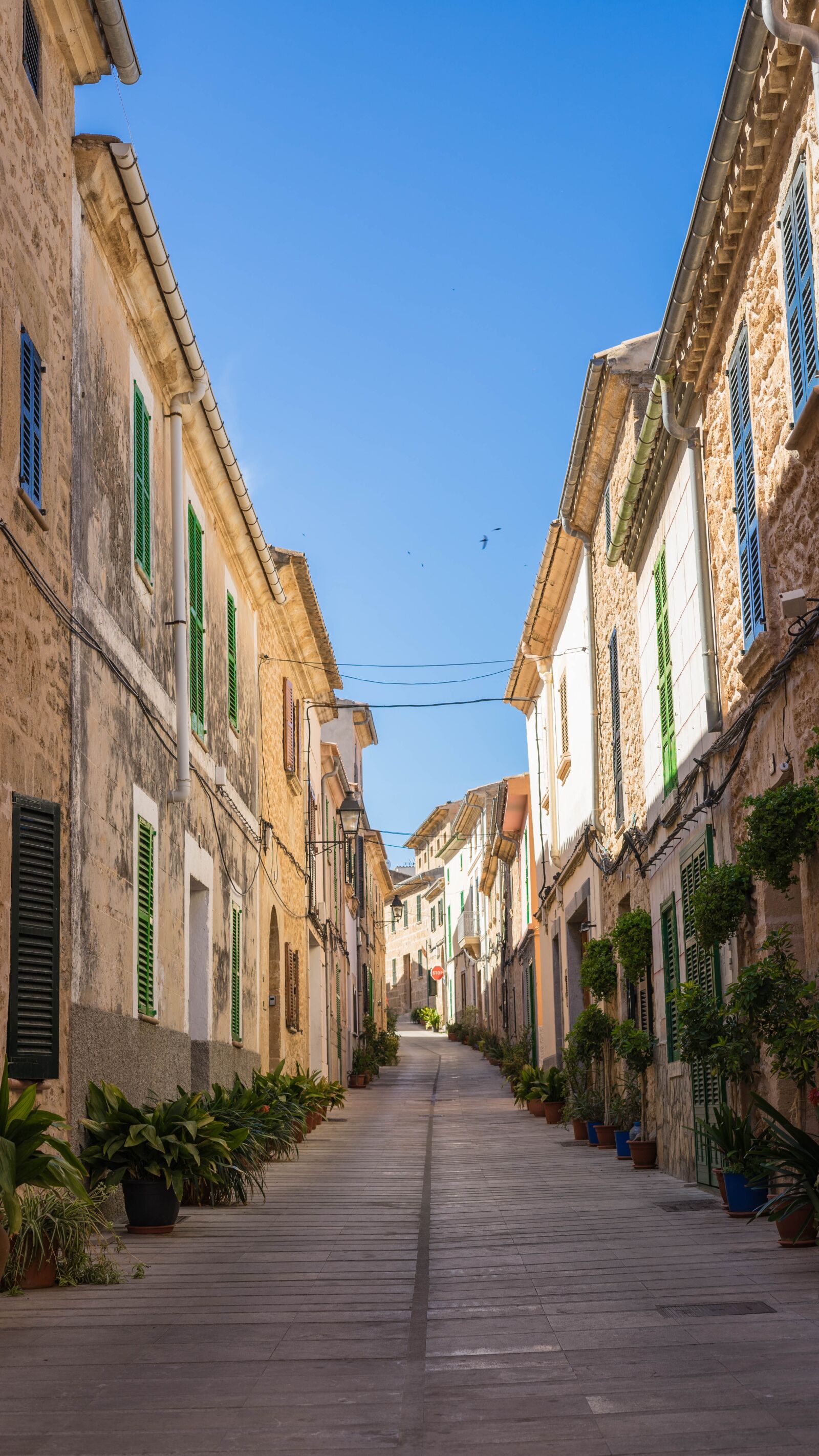 Sony a7 + Sony FE 50mm F1.8 sample photo. Alley, historic center, narrow photography