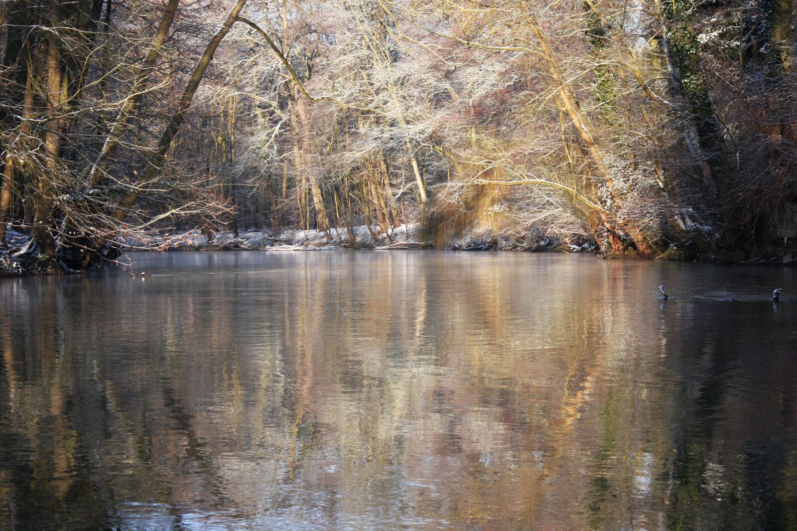 Canon EOS 40D sample photo. River, winter, snow photography