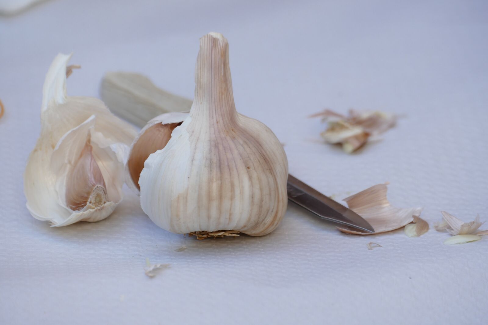 Panasonic Lumix DMC-FZ1000 sample photo. Garlic, allium sativum, look photography