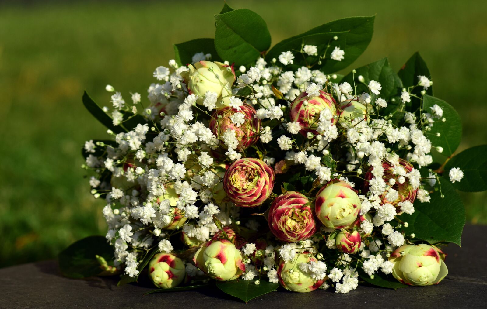 Nikon D3300 sample photo. Bouquet, gift, flowers photography