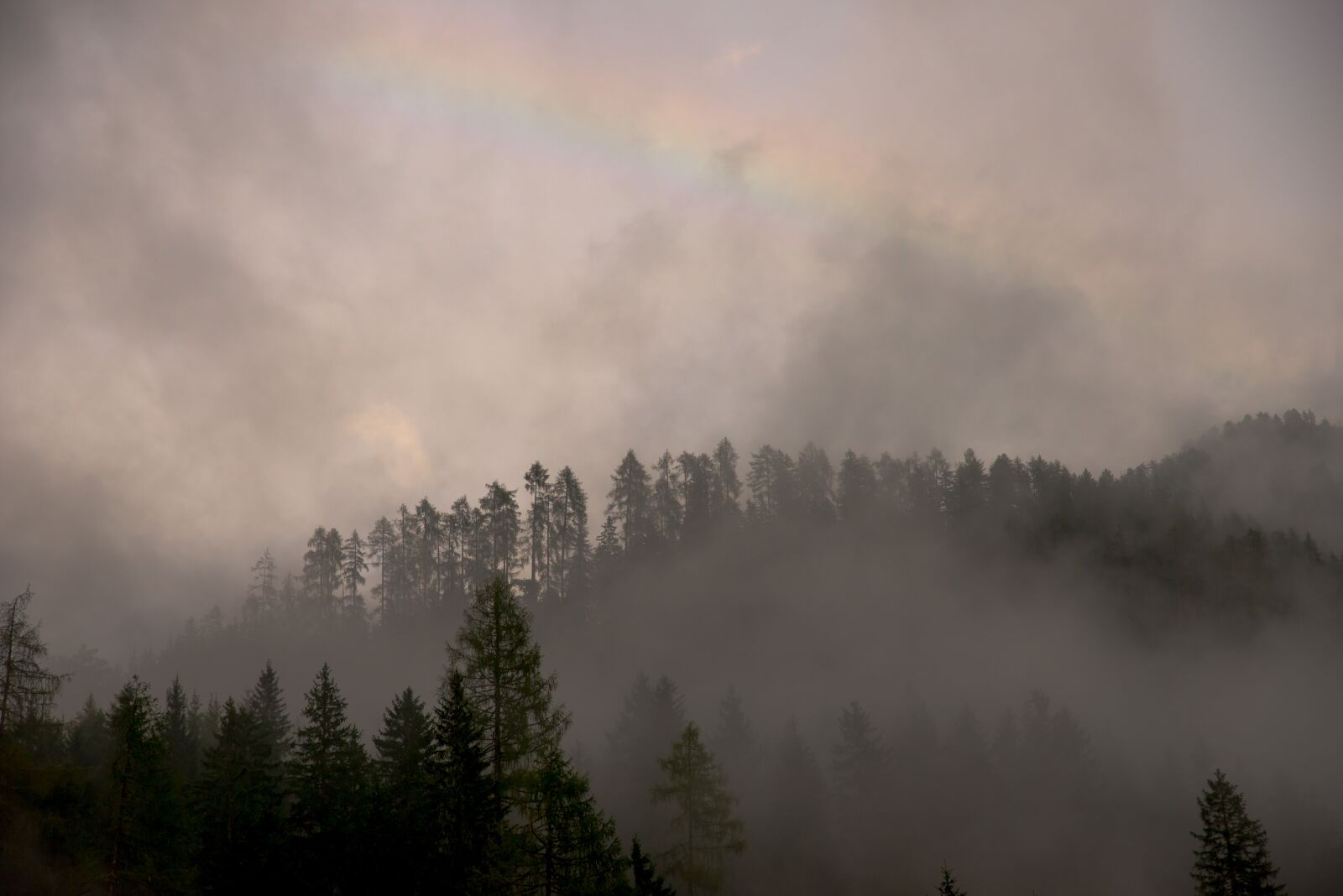 Nikon D610 sample photo. Dawn, dusk, fog photography