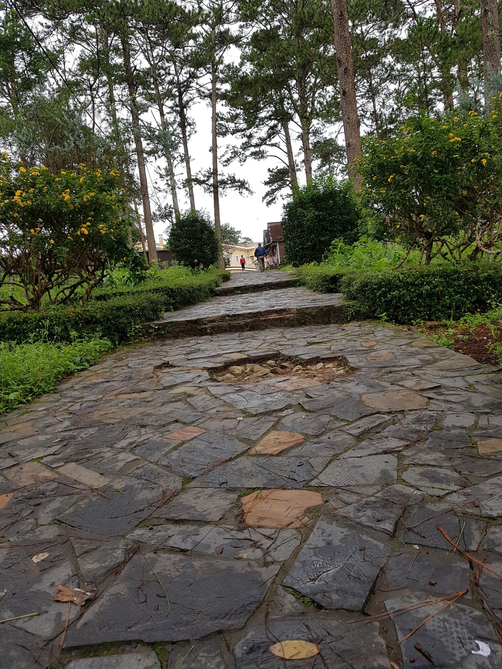 Samsung Galaxy Note Fan Edition sample photo. Rock, road, travel photography