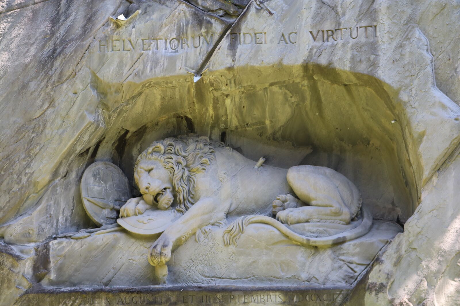 Canon EOS 750D (EOS Rebel T6i / EOS Kiss X8i) sample photo. Lion, lucerne, lion of photography