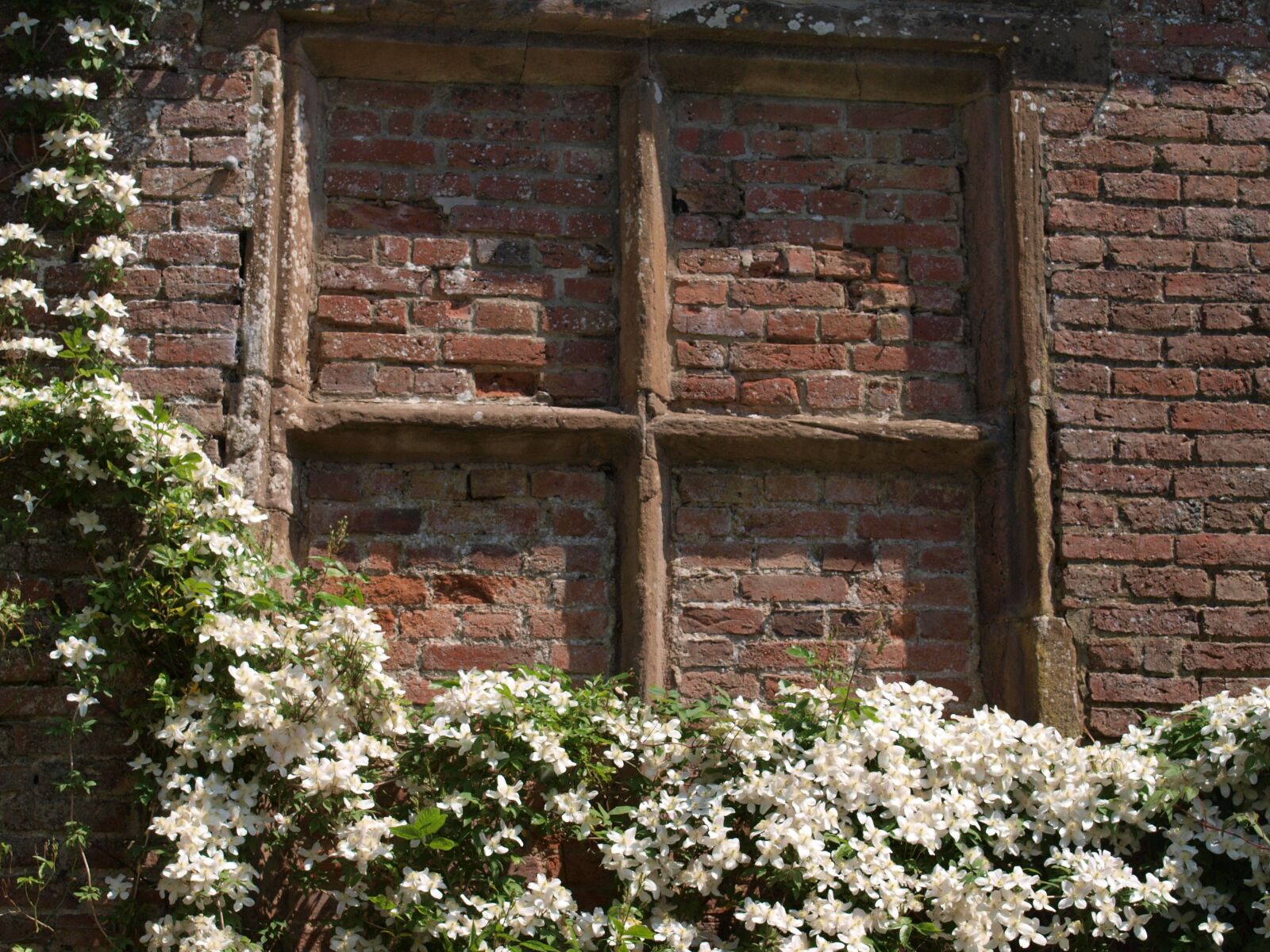 Olympus E-520 (EVOLT E-520) sample photo. Window, brick, garden photography