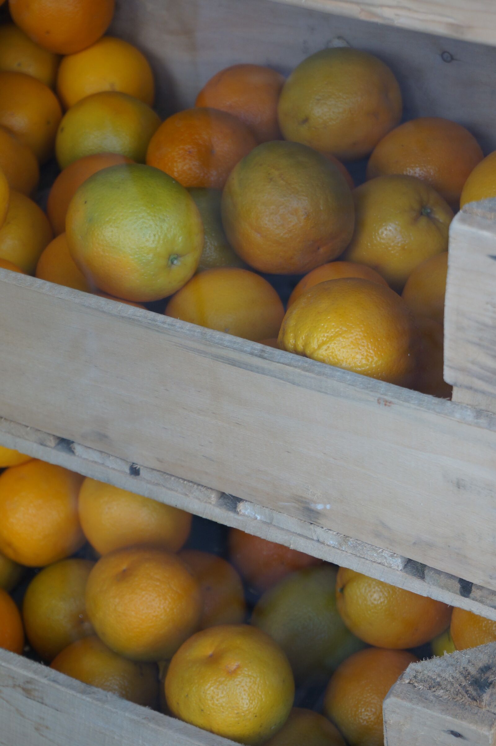Sony Alpha NEX-5T sample photo. Fruit, orange, healthy photography