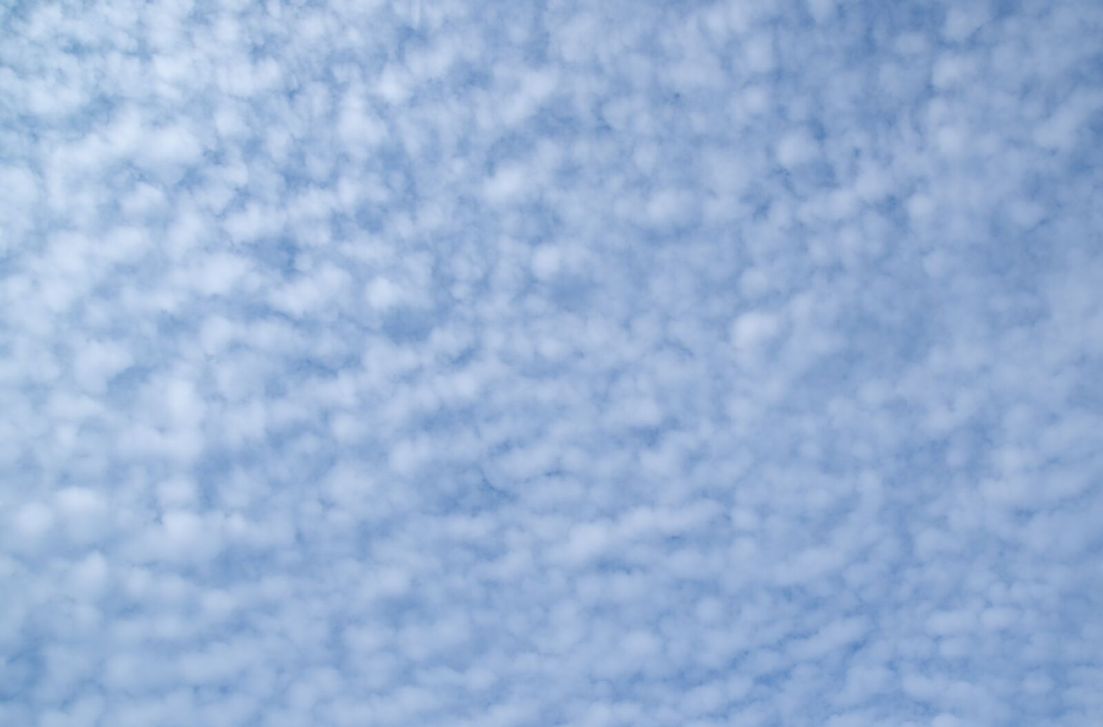 Nikon D610 sample photo. Fluffy, cloud, cloudscape photography