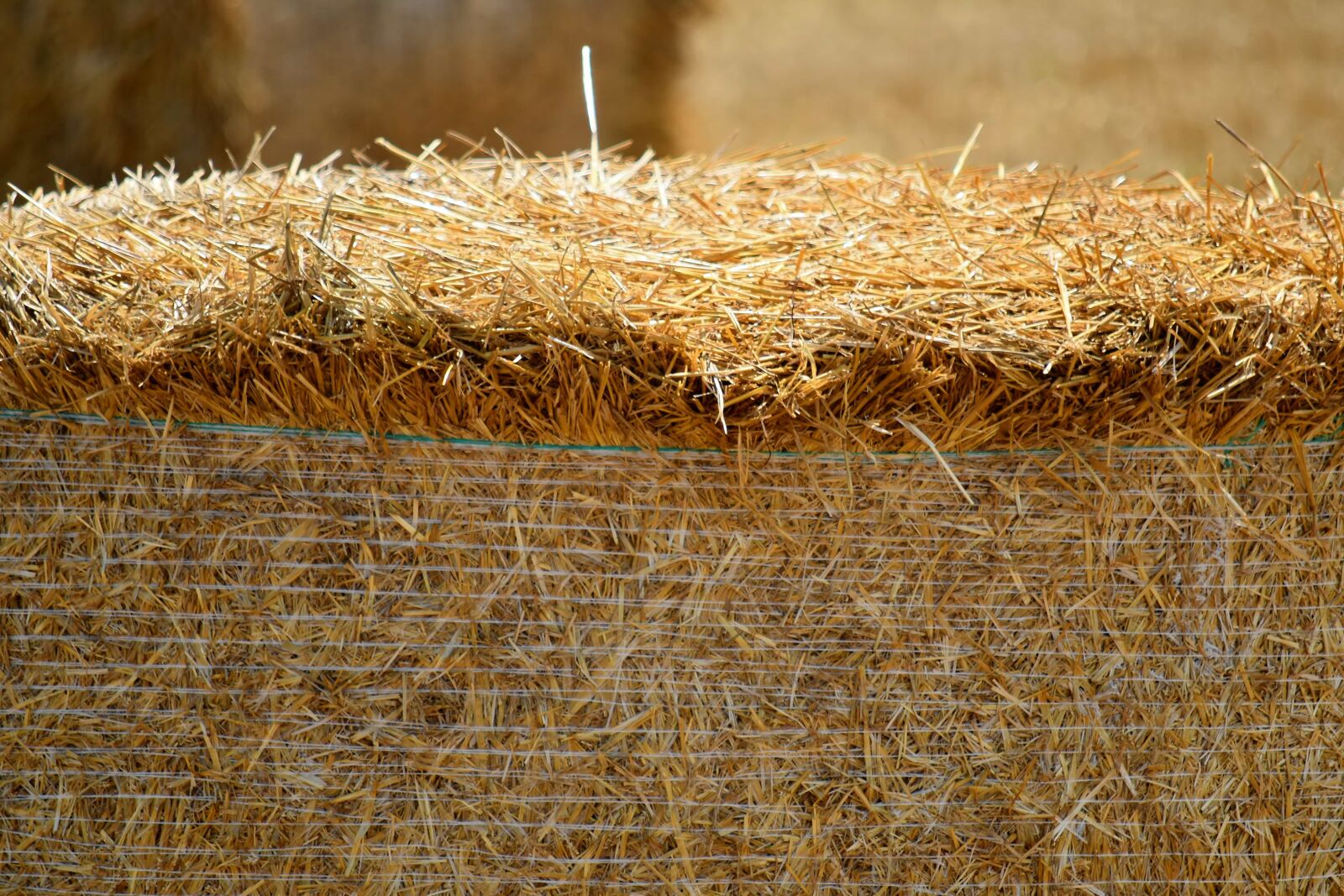 Nikon D5500 sample photo. Agriculture, bale, countryside, dry photography