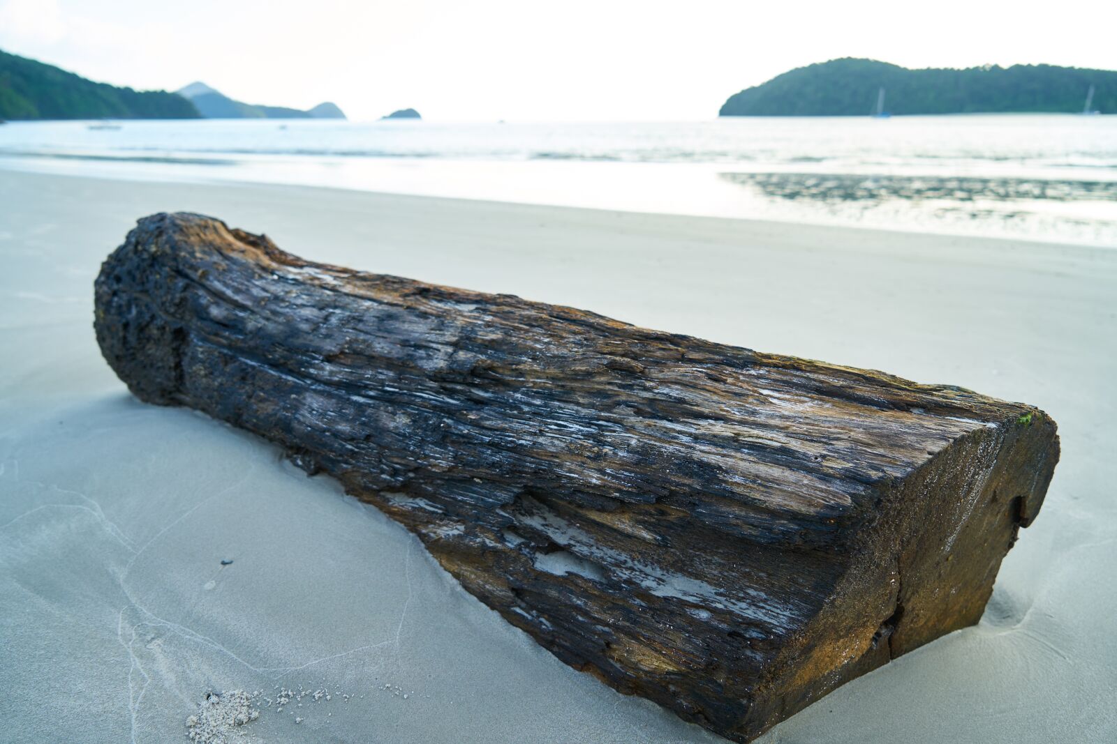 Sony a7R II sample photo. Billet, wood, tree photography
