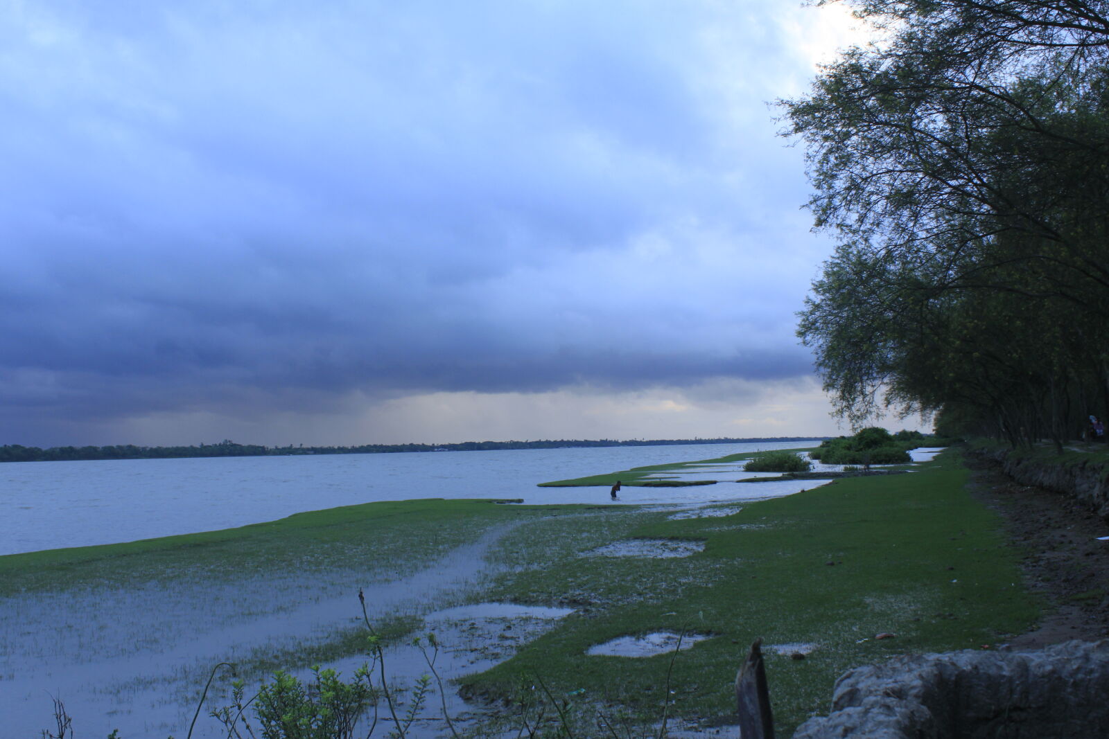 Canon EOS 500D (EOS Rebel T1i / EOS Kiss X3) sample photo. Bangladesh, canal, fisherman, flower photography