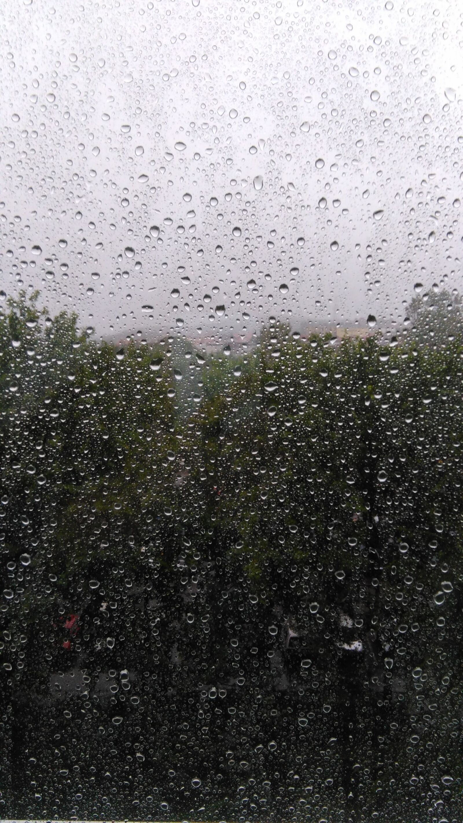 HUAWEI G620S-L01 sample photo. Rain, window, weather photography