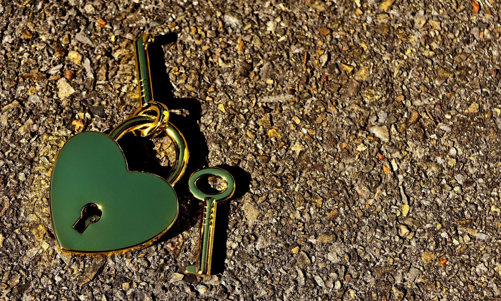 Nikon D7200 sample photo. Key to the heart photography