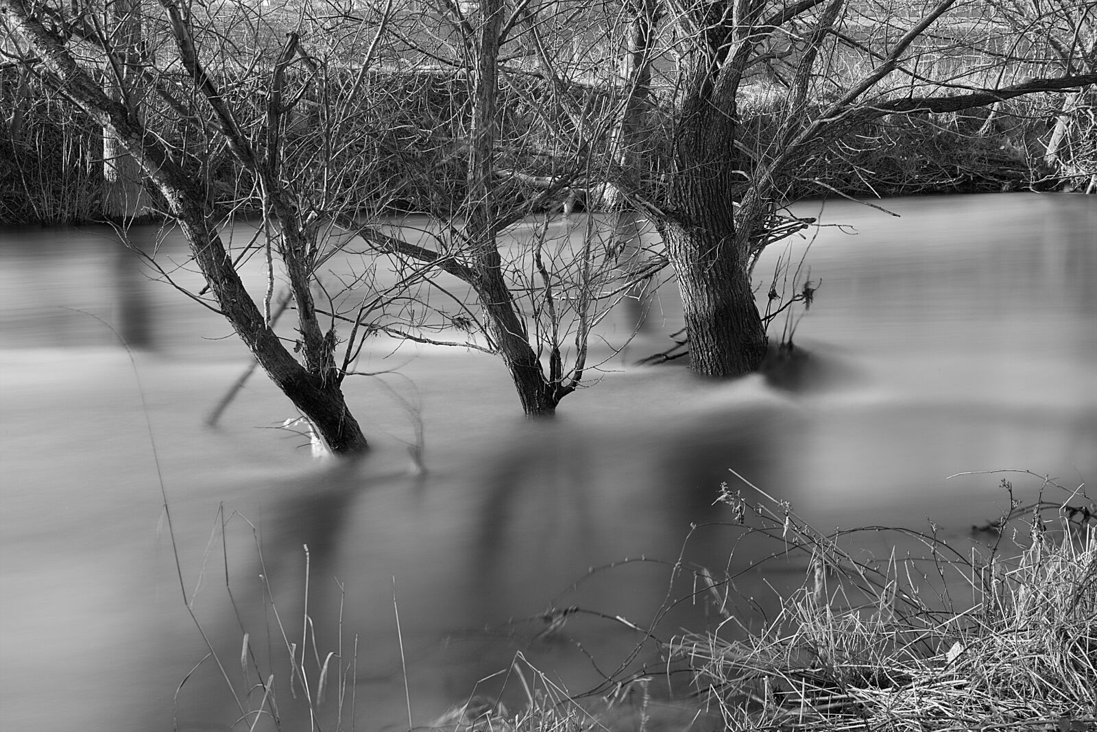 Canon EF 24-105mm F3.5-5.6 IS STM sample photo. Nature, waters, reflection photography