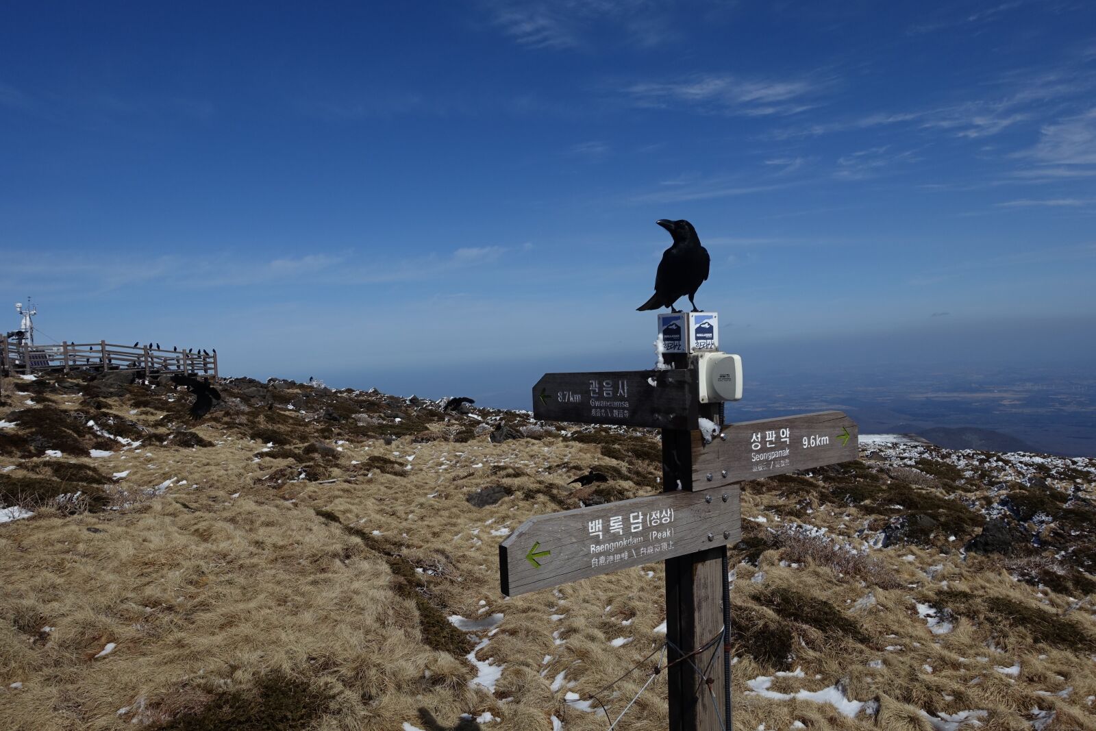 Sony Cyber-shot DSC-RX100 III sample photo. Winter, snow mountain, jeju photography