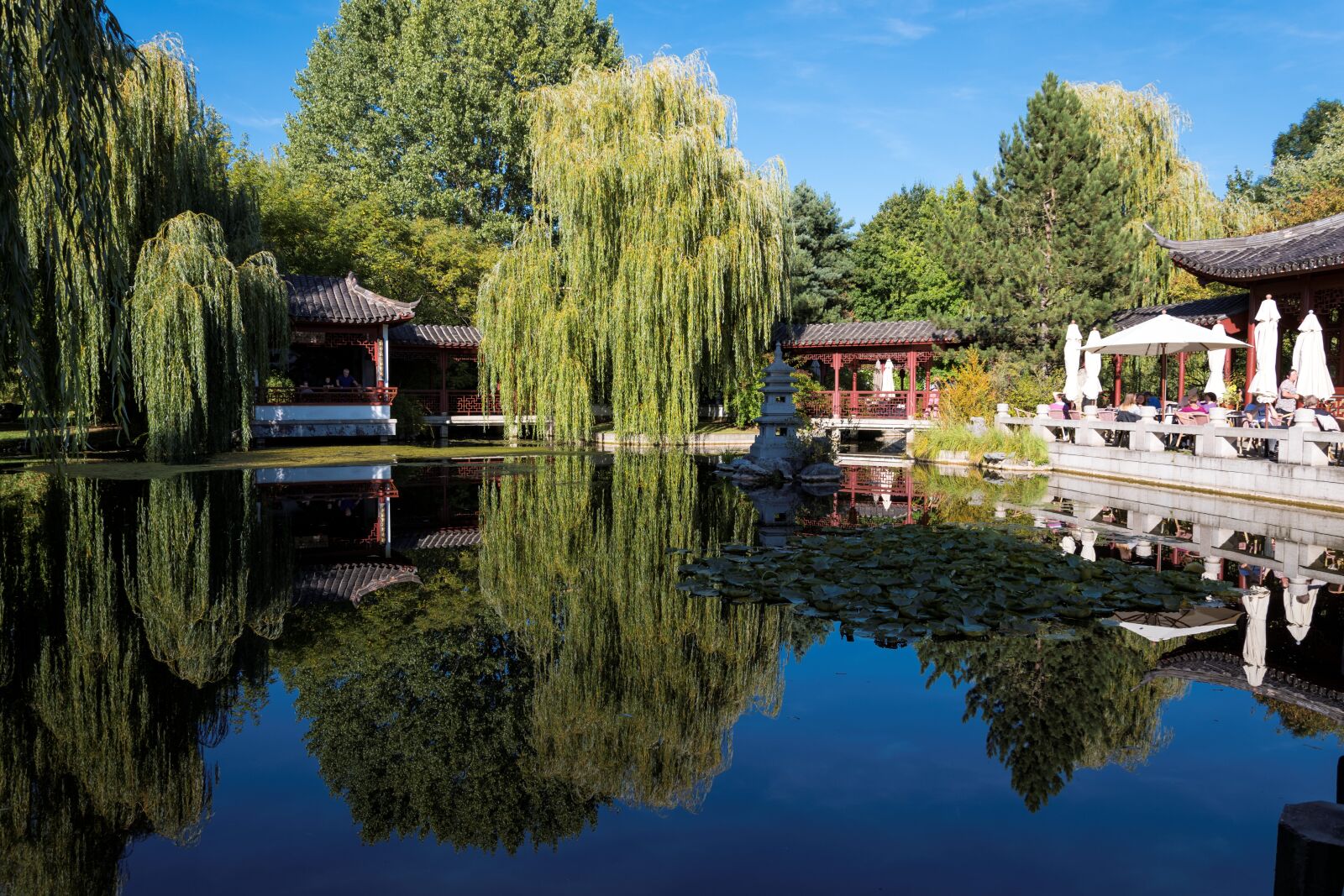 Nikon D7500 sample photo. Gardens of the world photography