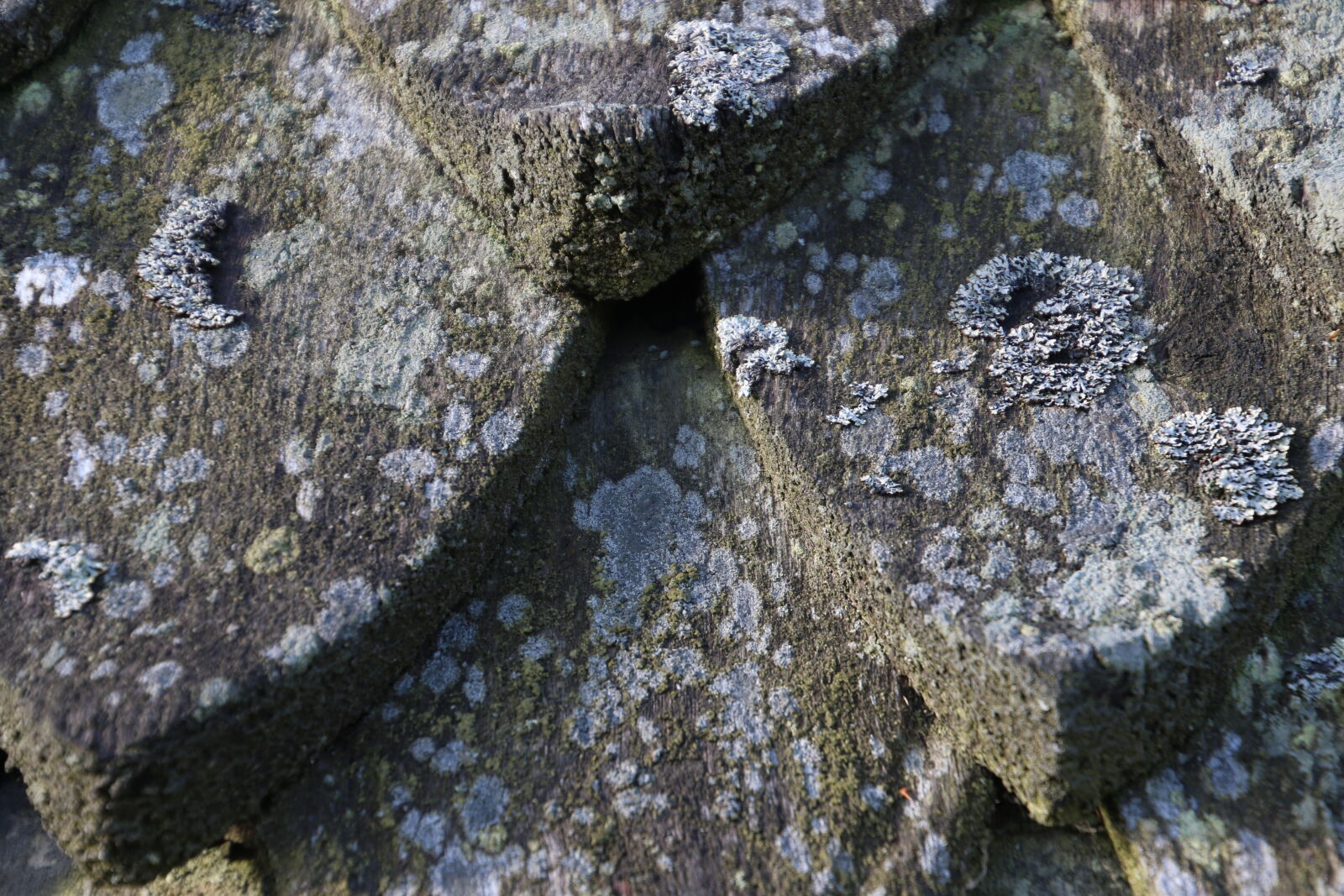 Canon EOS 7D Mark II sample photo. Fortress, moss, roof, roof photography